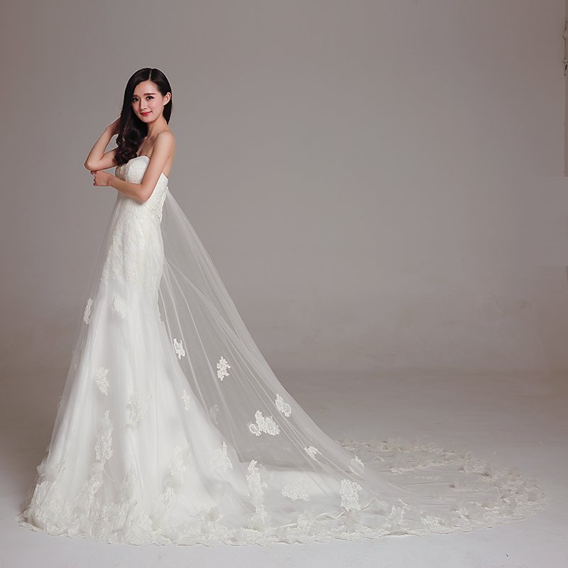 Beach Open Back Wedding Dresses A-Line V Neck Sleeveless Court Train Lace Bridal Gowns With Appliques #9178783